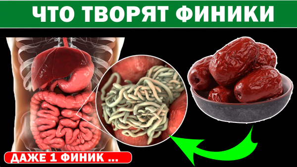 Многие едят ФИНИКИ, и даже не знают о пользе и вреде фиников ! В чем Тайна КОСТОЧКИ финика?