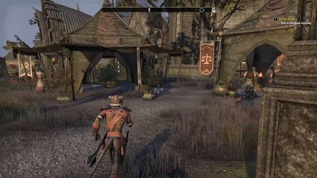 Stonefall Back Pack Merchant (Davon's Watch) Elder Scrolls Online смотреть онлайн