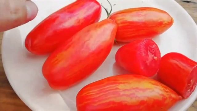 Обзор томат Безумие Касади смотреть онлайн