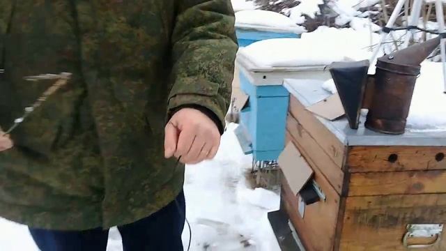 ?Завершение зимовки пчел смотреть онлайн