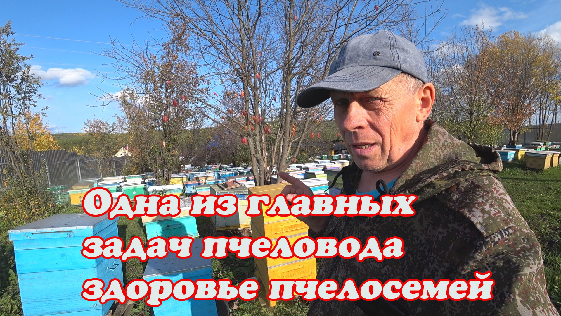 РЕЗУЛЬТАТ ОБРАБОТКИ ОТ КЛЕЩА, НЕ ДОЛЕЧИЛ И КАКИЕ ПОСЛЕДСТВИЯ, ВОРОВСТВО ПЧЁЛ. смотреть онлайн