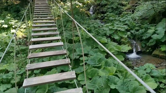 "Трускавець 365": Водоспад Кам’янка"Трускавец 365": Водопад Каменка смотреть онлайн