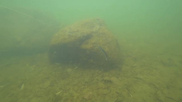 Игра Jackall Rerange 130MR. Подводные съемки. Underwater смотреть онлайн