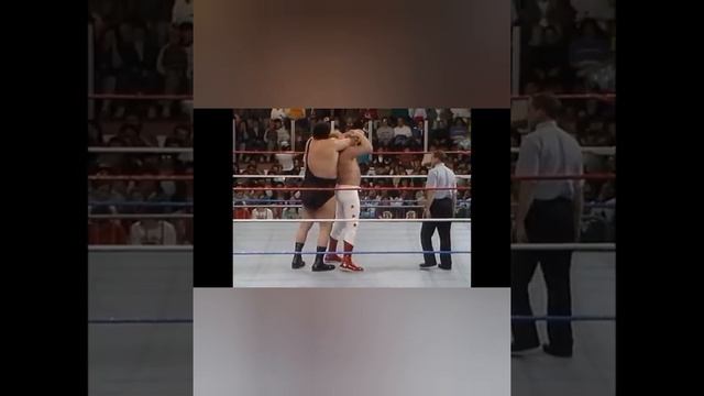 Андре Гигант против Большого Джона Стадда! (рестлинг) смотреть онлайн