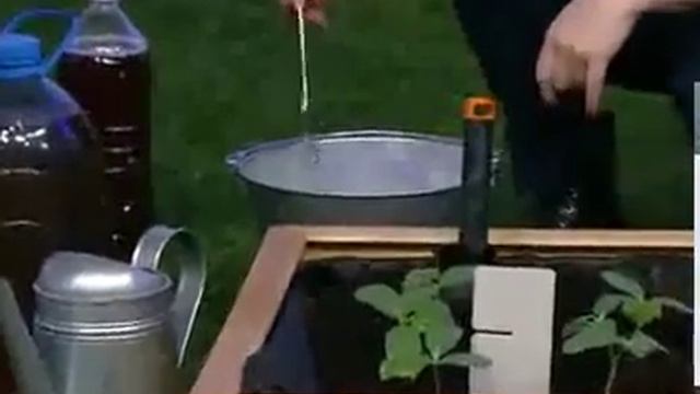 ГуматЭМ для корневой и внекорневой подкормки всех видов культур и замачивания семян смотреть онлайн