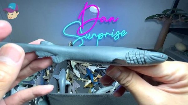 My Sharks Collection - Great White Shark, Frilled Shark, Whale Shark, Hammerhead Shark, Goblin Shar