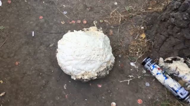 + СБРОСИЛ АРБУЗ В МОНТАЖНОЙ ПЕНЕ + /CHUM/ смотреть онлайн