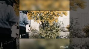 Takeru Satoh Video March 2021