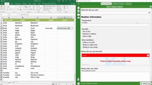 ArcGIS Survey123: XLSForm – Adding Images and Audio in a Survey смотреть онлайн