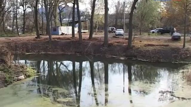 Пруды Петровского парка зарыблены: в водоемы выпустили более 400 кг подросшего малька смотреть онлайн