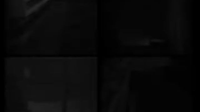 Запись с камер наблюдения МЭСИ [15.08.1995]