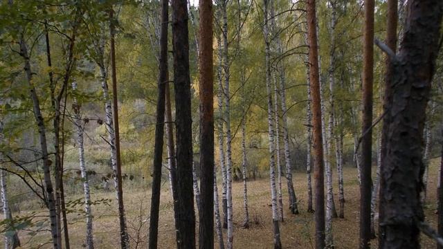 ОСЕНЬ Г.Сукачев смотреть онлайн