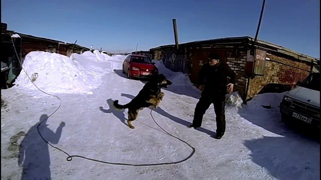 Друг, мы помним тебя таким... смотреть онлайн