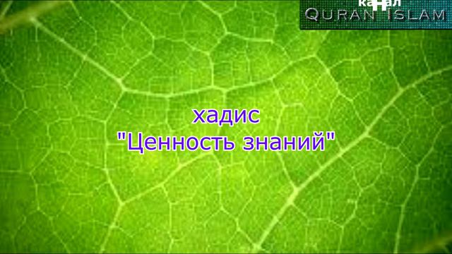 ХАДИС - ЗНАНИЯ смотреть онлайн