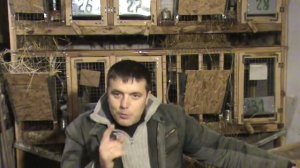 Клетка для кроликов. Выбор идеального пола для клетки.