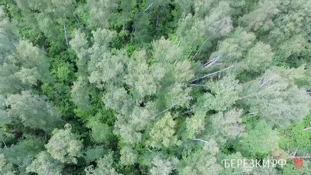 Коттеджный поселок на рублевке смотреть онлайн