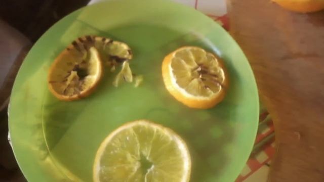 DIY-ФРУКТОВЫЕ ЧИПСЫ СВОИМЫ РУКАМИ! смотреть онлайн
