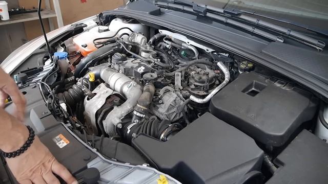 Takarékos családi hosszútávfutó смотреть онлайн