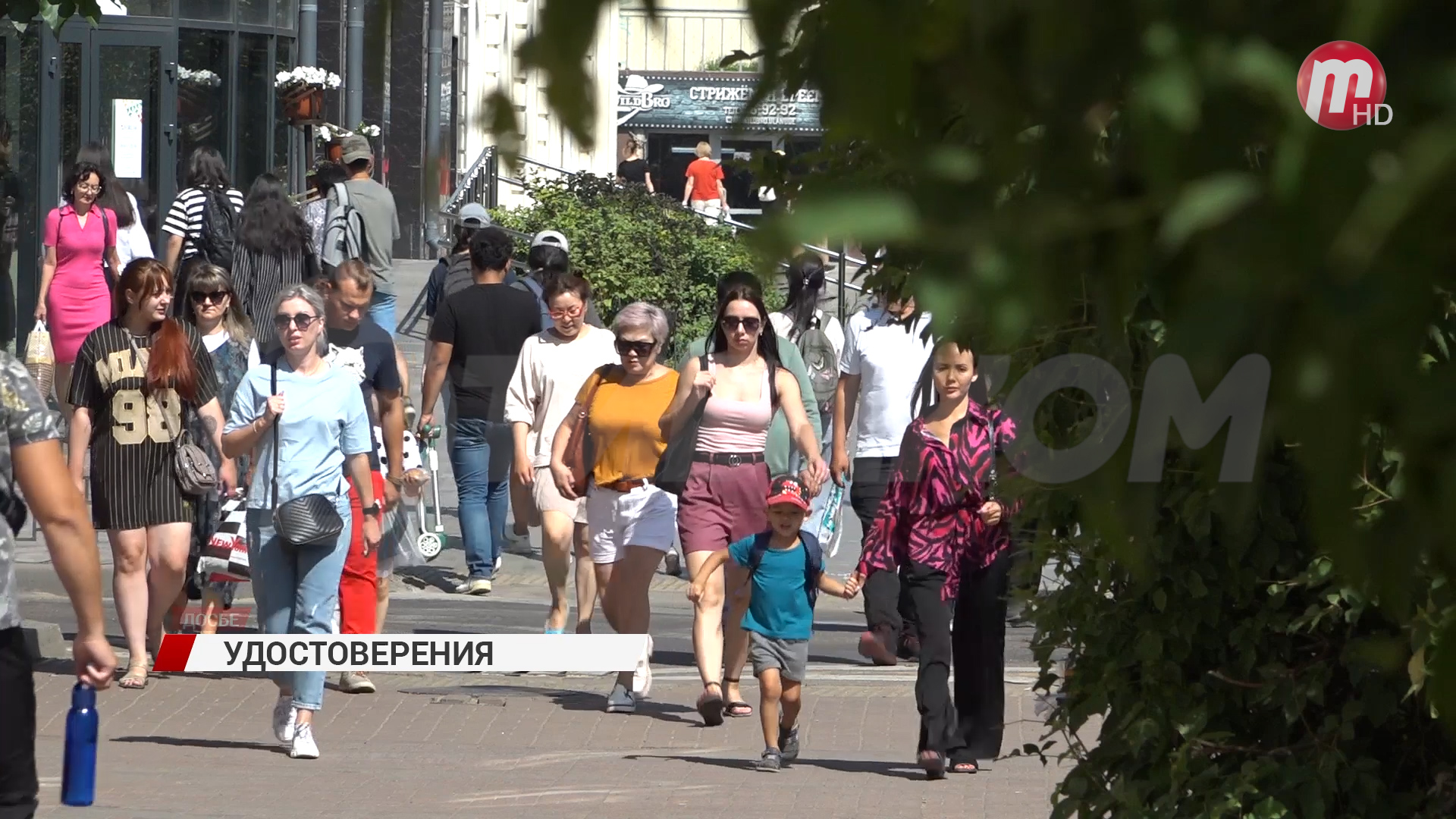 ТелеРадиоКомпания 