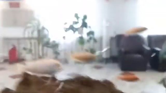 Аквариум санаторий Ключи г. Томск смотреть онлайн