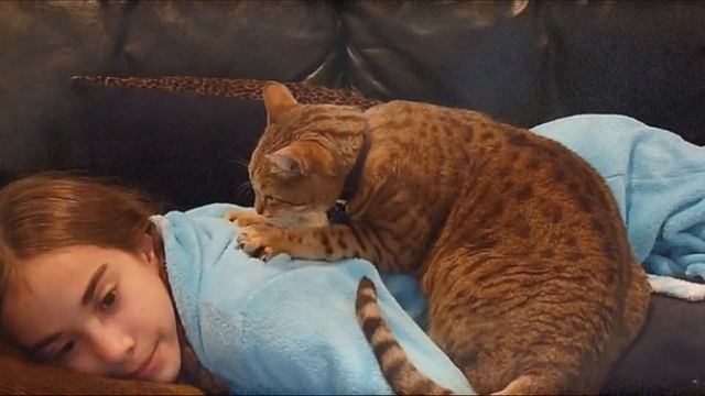 ПОЧЕМУ КОТЫ И КОШКИ ЛЮБЯТ СПАТЬ НА ЧЕЛОВЕКЕ -7 ФАКТОВ И ПРИЧИН ЭТОГО смотреть онлайн