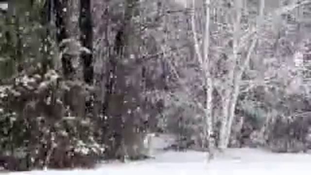 4 ноября 2017 г. смотреть онлайн