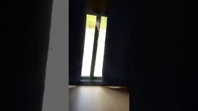 Внутренности прицепа капля. Спальное место и шкаф в одном! #gagarintrip смотреть онлайн