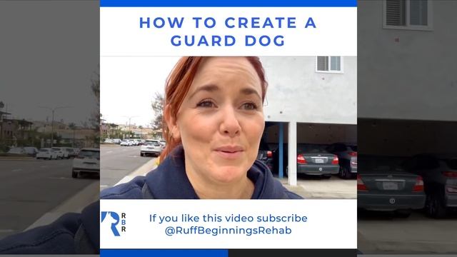 How to create a guard dog смотреть онлайн