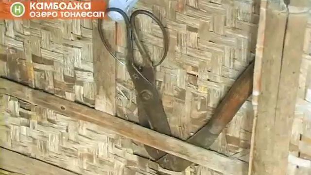 11.bamboo house_WEB.mp4 смотреть онлайн