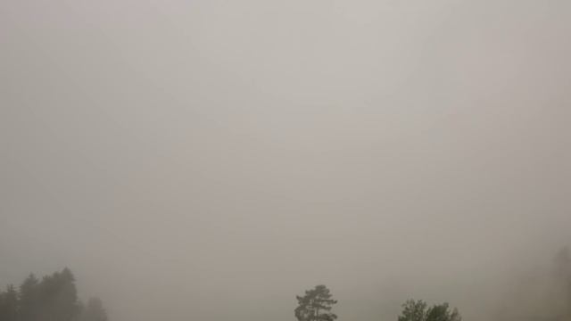 Вся деревня застыла от ужаса, когда узнали, что принесла волчица.. смотреть онлайн