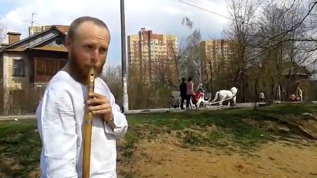 20150429 1337221 смотреть онлайн