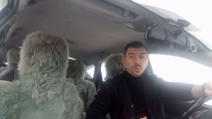 Что лучше Тойота Приус 20 или тойота Приус 30