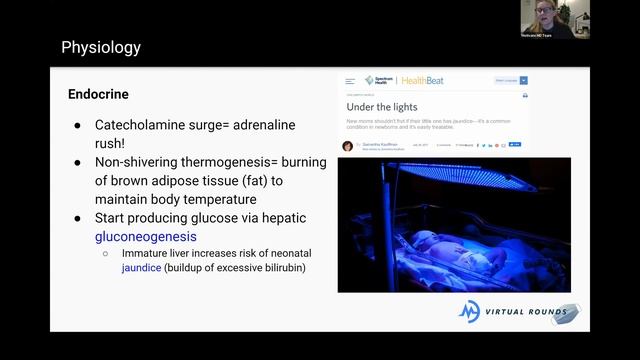 Virtual Rounds Session 51: Pediatrics - Neonatal Physiology (Premed Shadowing)