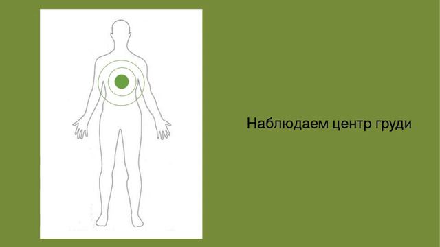 Медитация на чакры занятие 1 смотреть онлайн
