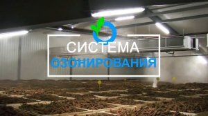 Микроклимат, вентиляция, озонирование овощехранилища.