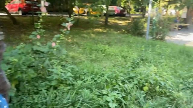 Прогулка по Москве. Ясенево. Поляна сказок смотреть онлайн