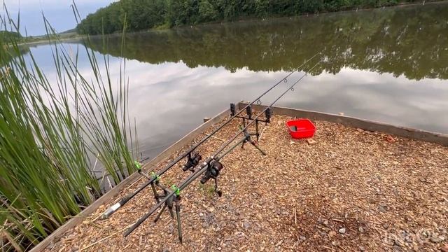 Рыбалка на водоеме Карпыч. Бешеная щука клюнула на тигровый орех. Карпы бегемоты. смотреть онлайн