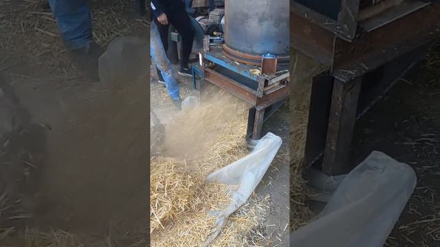 9 декабря 2023 г.