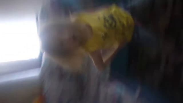 Зажигаем под песню ( Снегири и супер клей) смотреть онлайн