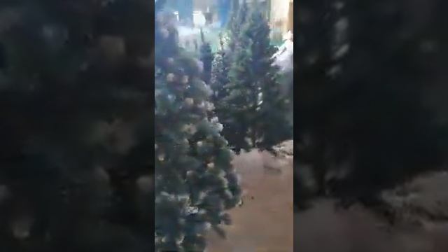 elka-31.ru смотреть онлайн