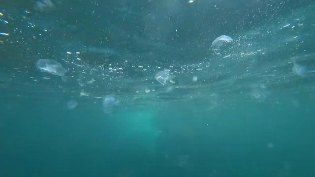 Прыжок в воду (Крым) смотреть онлайн