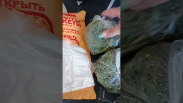 заготавливаем портулак смотреть онлайн