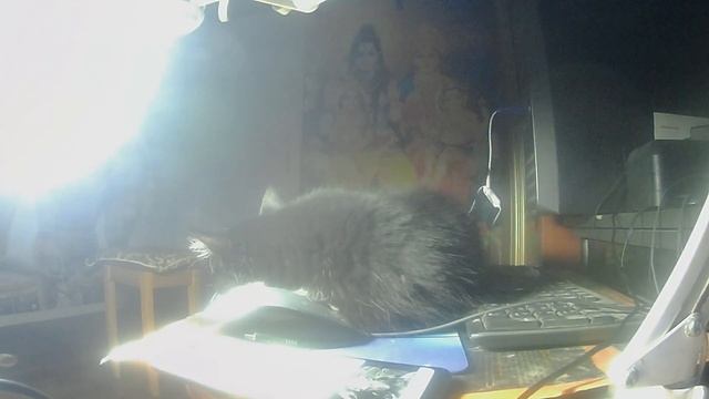 Ом Намах Шивая Ночью 3 Октября 2022 смотреть онлайн