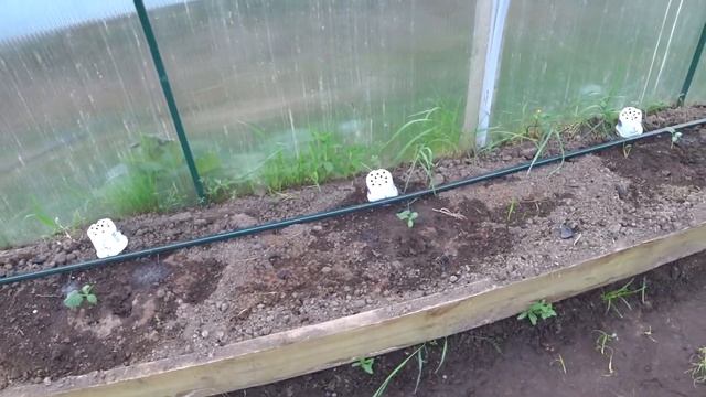 Автоматический полив грядок в теплице своими руками из ПНД трубы. Обзор смотреть онлайн