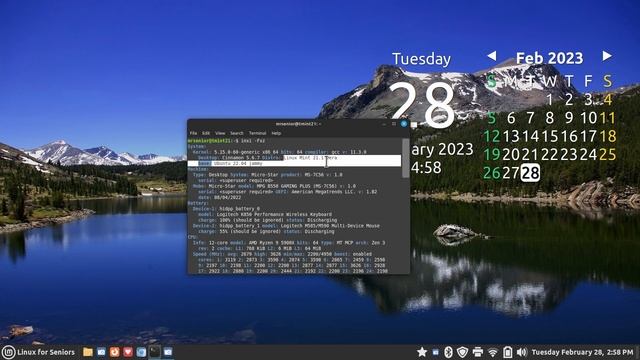 Linux Mint 21.1 - Cinnamon - tips for seniors on using a Smart TV as a monitor. смотреть онлайн