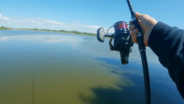 Карпфішинг у Європі: ловля коропа на водоймі Кінтай, Литва смотреть онлайн