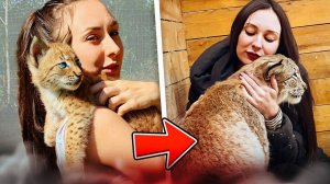 НУ КАК Я ЕГО БРОШУ? МОЙ ПРИЁМНЫЙ СЫН-РЫСЁНОК! Человек и рысь. История дружбы