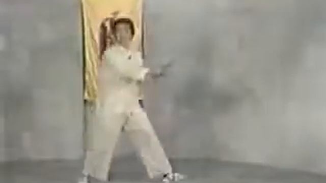 Винчун. Парные ножи Бабочки. Фильм 1.flv смотреть онлайн