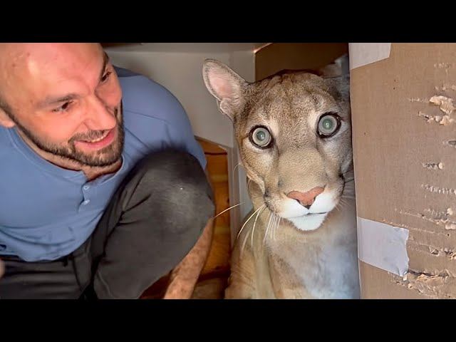 Месси построили отдельный дом! Шалаш под лестницей или первая ипотека пумы Месси смотреть онлайн