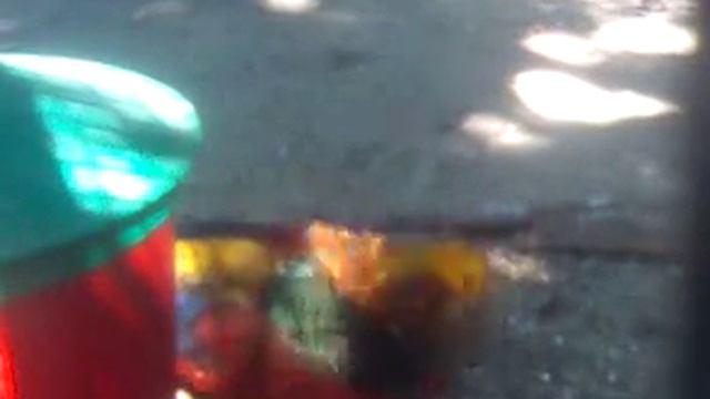 Фазаны, павлины, смотреть смотреть онлайн